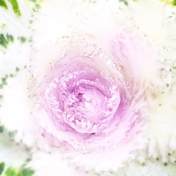 Meet your Posher, Ann - Picture 1 of 1